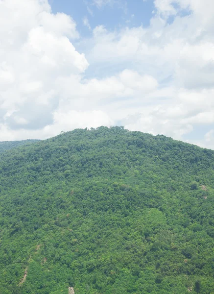 Cima de la cubierta de montaña con árboles — Foto de Stock