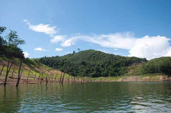 Floresta Balahala em yala, Tailândia — Fotografia de Stock