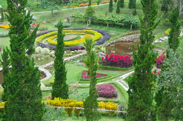 Inverno jardim de flores — Fotografia de Stock