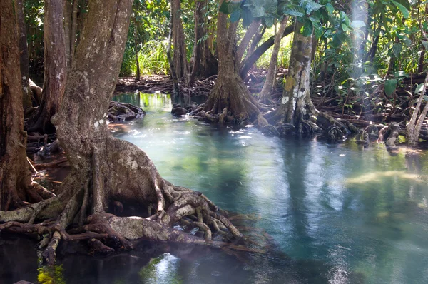 Landschap van tapom twee water aquaduct in krabi, thailand — Stockfoto