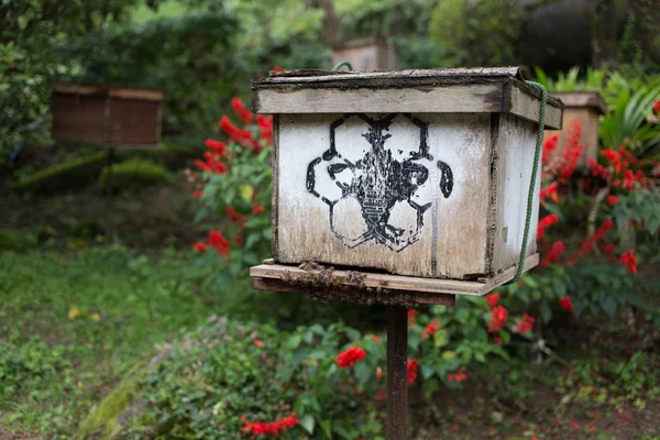 Boîte d'abeilles dans la ferme — Photo