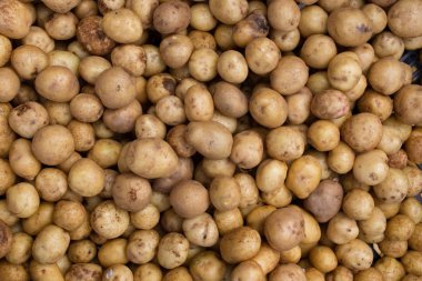 patates