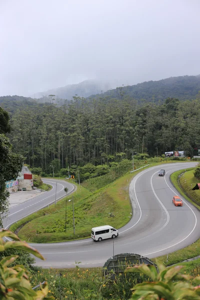 Camino curvo en Cameron Highlands — Foto de Stock