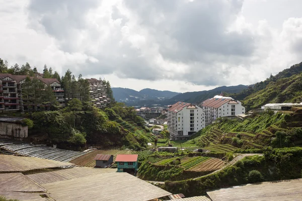 Cameron highlands zemědělství pole krajina — Stock fotografie