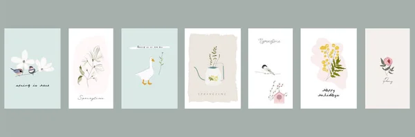 Bonito primavera cartões postais com mão desenhada florais, pássaros —  Vetores de Stock