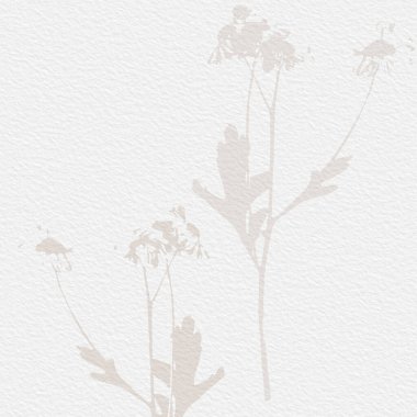 Narin, suluboya, botanik dijital kağıt, çiçek arkaplanı, yumuşak, temel, çıplak bej renkler.