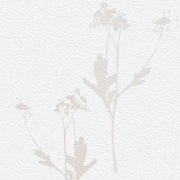 मऊ मूलभूत नग्न बेज टन मध्ये नाजूक वॉटरकलर वनस्पती डिजिटल कागद फुलांचा पार्श्वभूमी — स्टॉक फोटो, इमेज