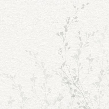 Narin, suluboya, botanik dijital kağıt, çiçek arkaplanı, yumuşak, temel, çıplak bej renkler.