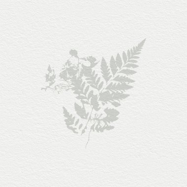 Narin, suluboya, botanik dijital kağıt, çiçek arkaplanı, yumuşak, temel, çıplak bej renkler.