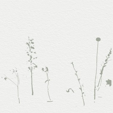 Narin, suluboya, botanik dijital kağıt, çiçek arkaplanı, yumuşak, temel, çıplak bej renkler.