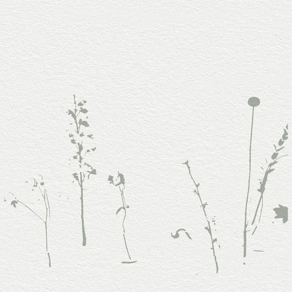Ніжний акварельний ботанічний цифровий паперовий квітковий фон в м'яких основних оголених бежевих тонах — стокове фото