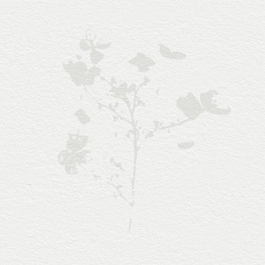 Narin, suluboya, botanik dijital kağıt, çiçek arkaplanı, yumuşak, temel, çıplak bej renkler.