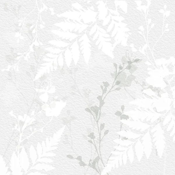 柔和的基本裸体米色色调精致的水彩画植物数码花纸背景 — 图库照片