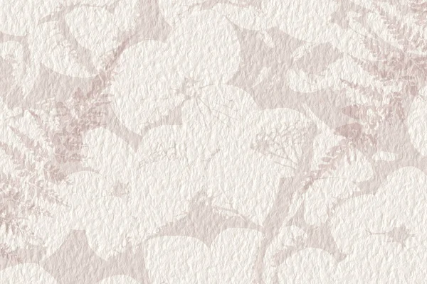 精致的水彩画植物数字纸花背景柔和的基本裸体米色色调 白色有机纸纹理上的中性优雅图案 — 图库照片