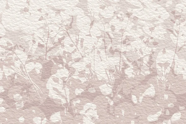 Delicate Aquarel Botanisch Digitaal Papier Bloemenachtergrond Zachte Basis Naakt Beige — Stockfoto