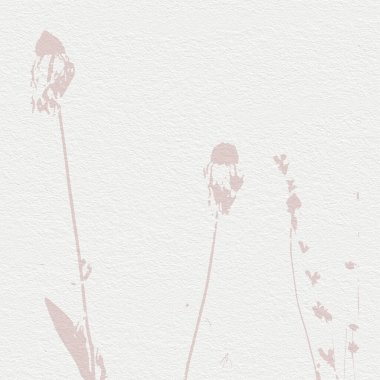 Narin, suluboya, botanik dijital kağıt, çiçek arkaplanı, yumuşak, basit, çıplak bej renkler. Beyaz organik kağıt dokusunda nötr zarif desen