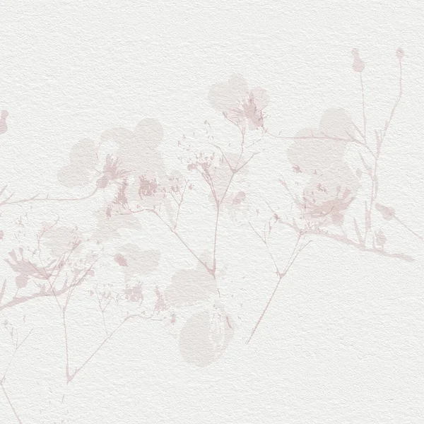 Narin Suluboya Botanik Dijital Kağıt Çiçek Arkaplanı Yumuşak Basit Çıplak — Stok fotoğraf