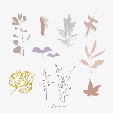 Autumn vector botanical illustration of florals, dried fall leaves and twigs. Natural textures 