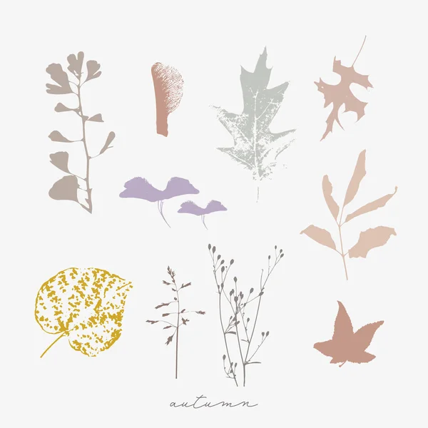 Autumn Vector Botanical Illustration Florals Dried Fall Leaves Twigs Natural — Vector de stock