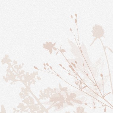 Narin, suluboya, botanik dijital kağıt, çiçek arkaplanı, yumuşak, basit, çıplak bej renkler. Beyaz organik kağıt dokusunda nötr zarif desen