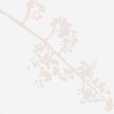 Narin, suluboya, botanik dijital kağıt, çiçek arkaplanı, yumuşak, basit, çıplak bej renkler. Beyaz organik kağıt dokusunda nötr zarif desen