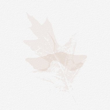 Narin, suluboya, botanik dijital kağıt, çiçek arkaplanı, yumuşak, basit, çıplak bej renkler. Beyaz organik kağıt dokusunda nötr zarif desen