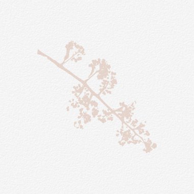 Narin, suluboya, botanik dijital kağıt, çiçek arkaplanı, yumuşak, basit, çıplak bej renkler. Beyaz organik kağıt dokusunda nötr zarif desen