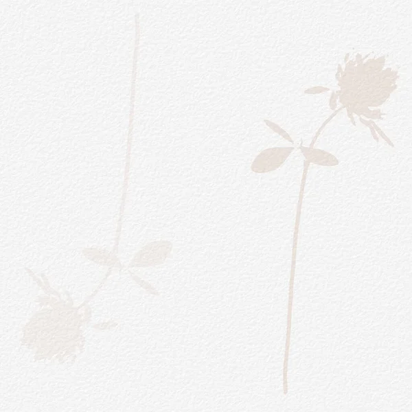 Ніжний Акварельний Ботанічний Цифровий Паперовий Квітковий Фон Яких Основних Оголених — стокове фото