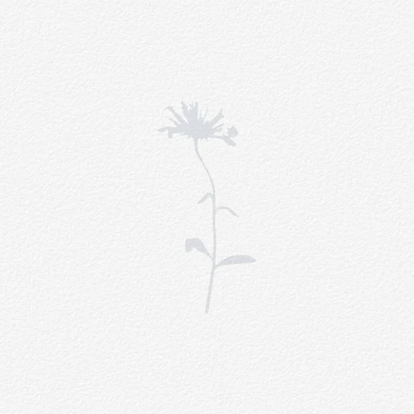 Delicate Watercolor Botanical Digital Paper Floral Background Soft Basic Nude — Stok fotoğraf