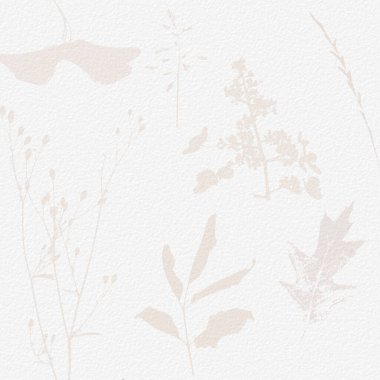 Narin, suluboya, botanik dijital kağıt, çiçek arkaplanı, yumuşak, basit, çıplak bej renkler. Beyaz organik kağıt dokusunda nötr zarif desen