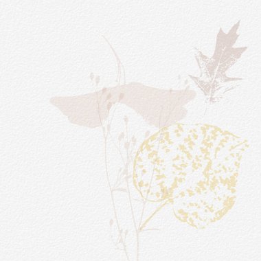 Narin, suluboya, botanik dijital kağıt, çiçek arkaplanı, yumuşak, basit, çıplak bej renkler. Beyaz organik kağıt dokusunda nötr zarif desen