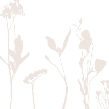 Vahşi çiçeklerle narin bir vektör deseni, bitkisel bitkiler. Yumuşak pastel renkler allık pembe arkaplan