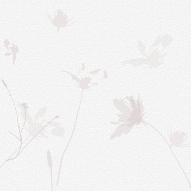 Narin, suluboya, botanik dijital kağıt, çiçek arkaplanı, yumuşak, basit, çıplak bej renkler. Beyaz organik kağıt dokusunda nötr zarif desen