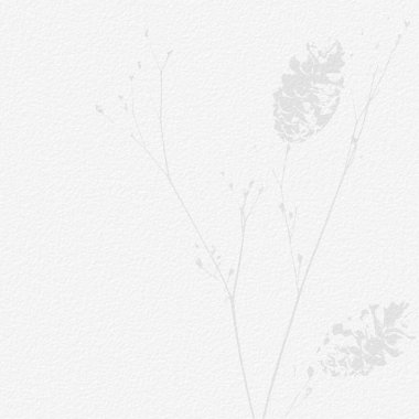 Narin, suluboya, botanik dijital kağıt, çiçek arkaplanı, yumuşak, basit, çıplak bej renkler. Beyaz organik kağıt dokusunda nötr zarif desen