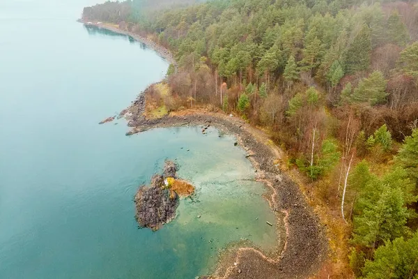 Karelia Lacul Onega Golful Petrozavodsk Fotografie Aeriană Care Arată Pădurea — Fotografie, imagine de stoc