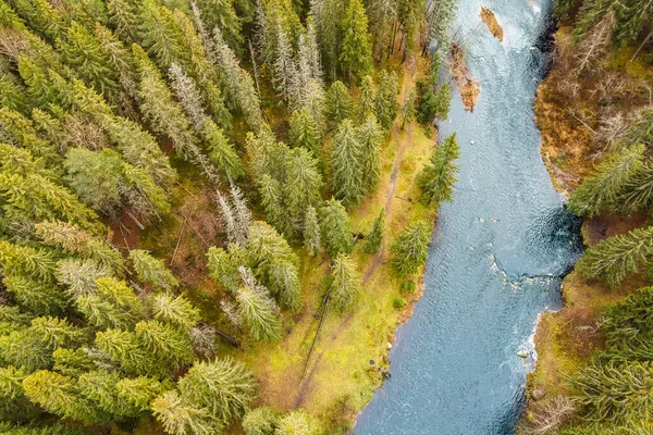 Petrozavodsk şehri, Karelia Cumhuriyeti, Lososinka Nehri. Soğuk bir sonbahar nehri, suda akıntılar ve kıyıda kozalaklı bir orman. Rusya 'da turizm kavramı. Karelia 'nın hava fotoğrafı.