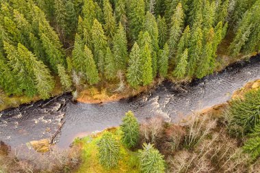 Petrozavodsk şehri, Karelia Cumhuriyeti, Lososinka Nehri. Soğuk bir sonbahar nehri, suda akıntılar ve kıyıda kozalaklı bir orman. Rusya 'da turizm kavramı. Karelia 'nın hava fotoğrafı.