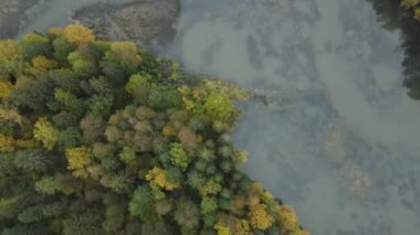 Rusya, Abramtsevo, 08.08.2021. Havadan çekim yapmak, ormanın ve nehrin üzerinden uçmak. Vorya Nehri kıyısındaki müze rezervinde sonbahar manzarası.