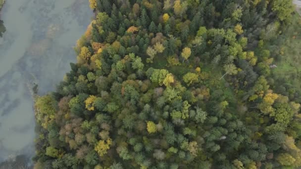 Rusland Abramtsevo 2021 Video Vanuit Lucht Vliegend Het Bos Rivier — Stockvideo