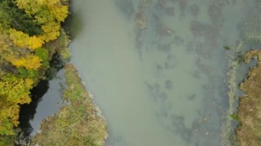 Rusya, Abramtsevo, 08.08.2021. Havadan çekim yapmak, ormanın ve nehrin üzerinden uçmak. Vorya Nehri kıyısındaki müze rezervinde sonbahar manzarası.