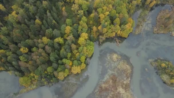 Россия Абрамцево 2021 Видеосъемка Воздуха Пролет Над Лесом Рекой Осенний — стоковое видео