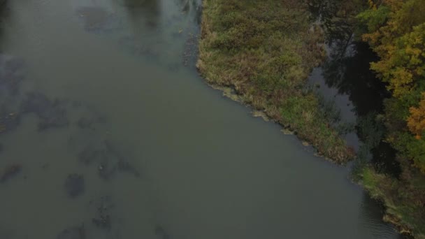 俄罗斯 Abramtsevo 02021 从空中拍摄的录像 飞越森林和河流 位于Vorya河岸的博物馆 保护区中的秋季风景 — 图库视频影像