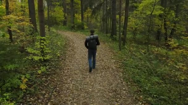 ロシア アブラムトセヴォ 2021 黒いバックパックを持つ男は 保護区の秋の森を歩く ハイキングの概念とロシアの観光の発展 — ストック動画