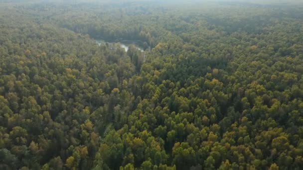 Moskva Národní Park Losiny Ostrov Letecké Video Letu Nad Podzimním — Stock video