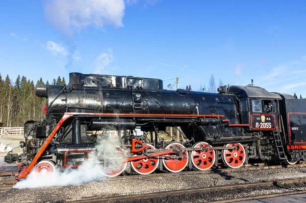 ロシア カレリア ロシア 2021年9月 ロスカラ山公園の蒸気機関車と煙突から煙 Kareliaでのレクリエーションの概念 社説だけで — ストック写真