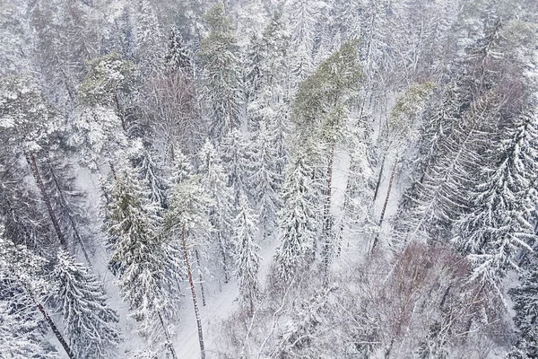 Воздушный Вид Беспилотника Замерзших Снежных Вершин Бесконечных Хвойных Деревьев Леса — стоковое фото