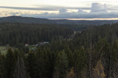 Karelia Cumhuriyeti, Paasonvuori Dağı manzaralı. Yeşil kozalaklı orman ve bulutlar. Doğadaki gürültüden mahremiyet kavramı.