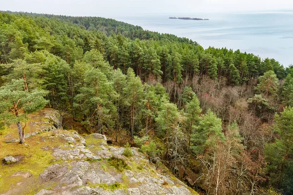 Rusia Petrozavodsk Pădure Verde Densă Stânci Stâncoase Grădina Botanică Scaunul — Fotografie, imagine de stoc