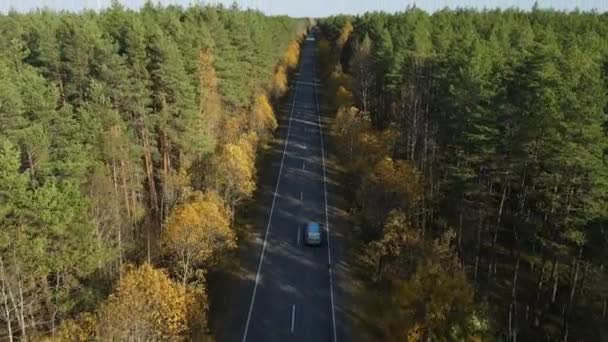 Vídeo Aéreo Una Larga Carretera Bosque Otoño Amarillo Brillante Naranja — Vídeos de Stock