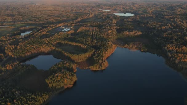Göl Kıyısındaki Sonbahar Ormanının Insansız Hava Aracı Videosu Rusya Karelia — Stok video